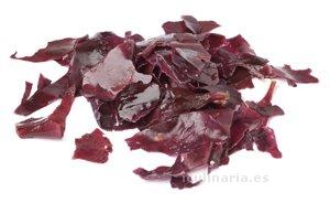 alga dulse | Innova Culinaria